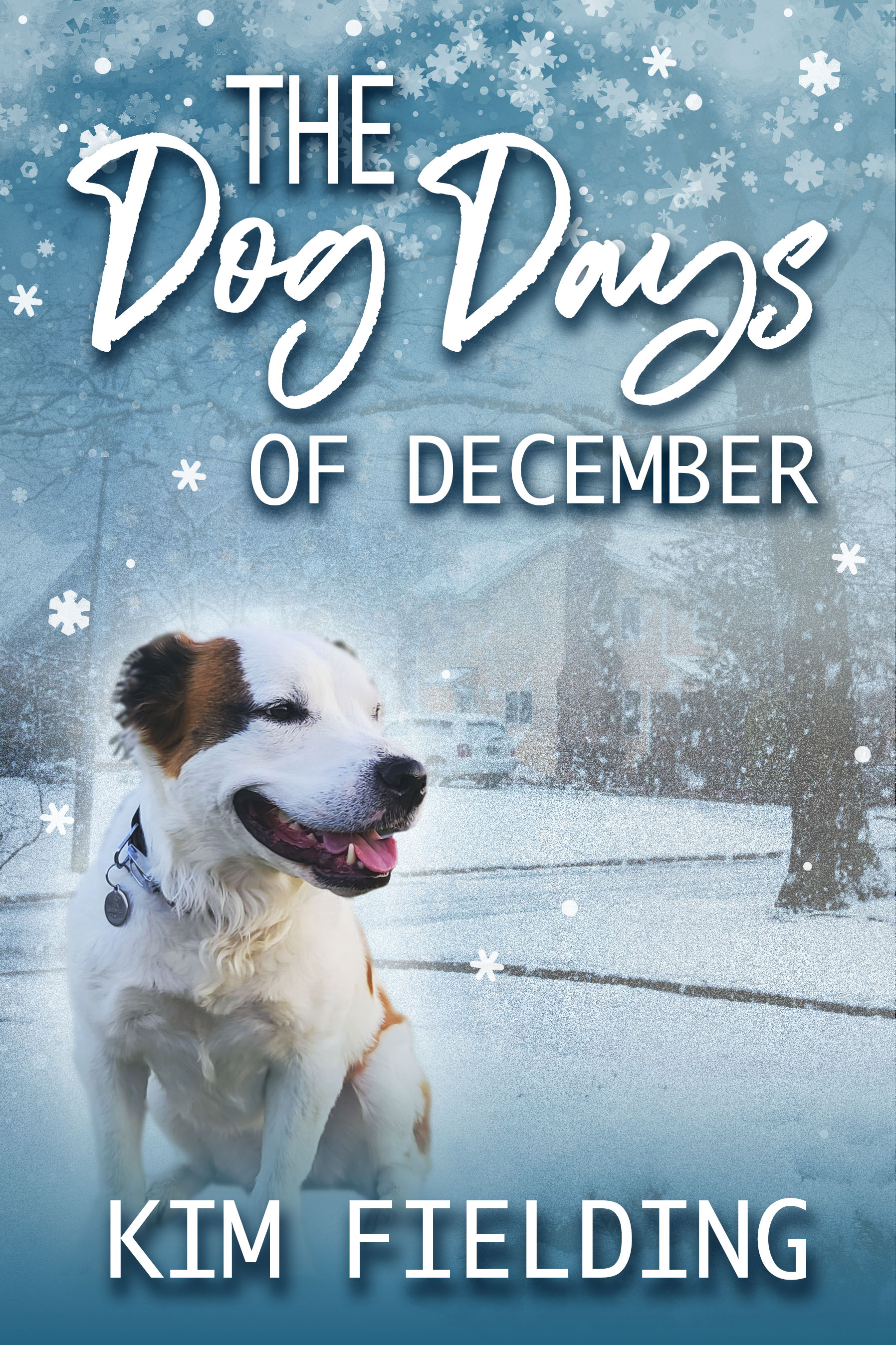 The Dog Days of December book cover