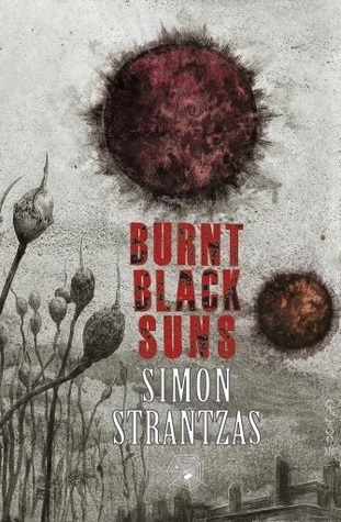 Burnt Black Suns book cover