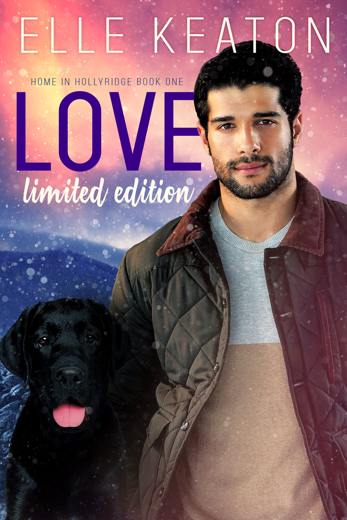 Home in Hollyridge book cover 1