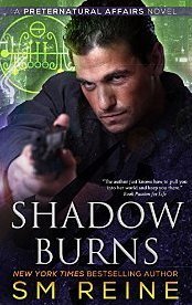 Shadow Burns book cover