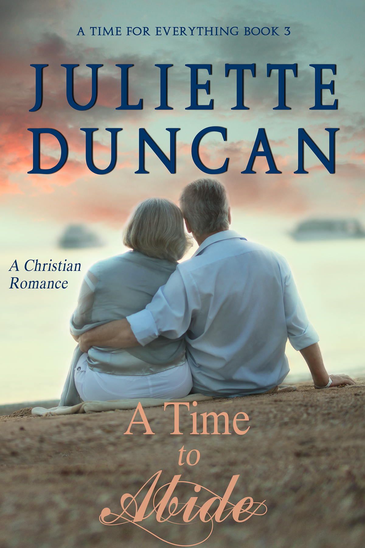 A Time for Everything book cover 3