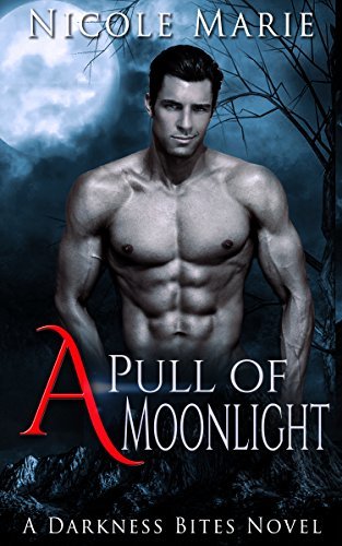 Darkness Bites book cover 2
