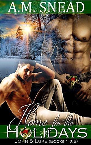 Home for the Holidays book cover