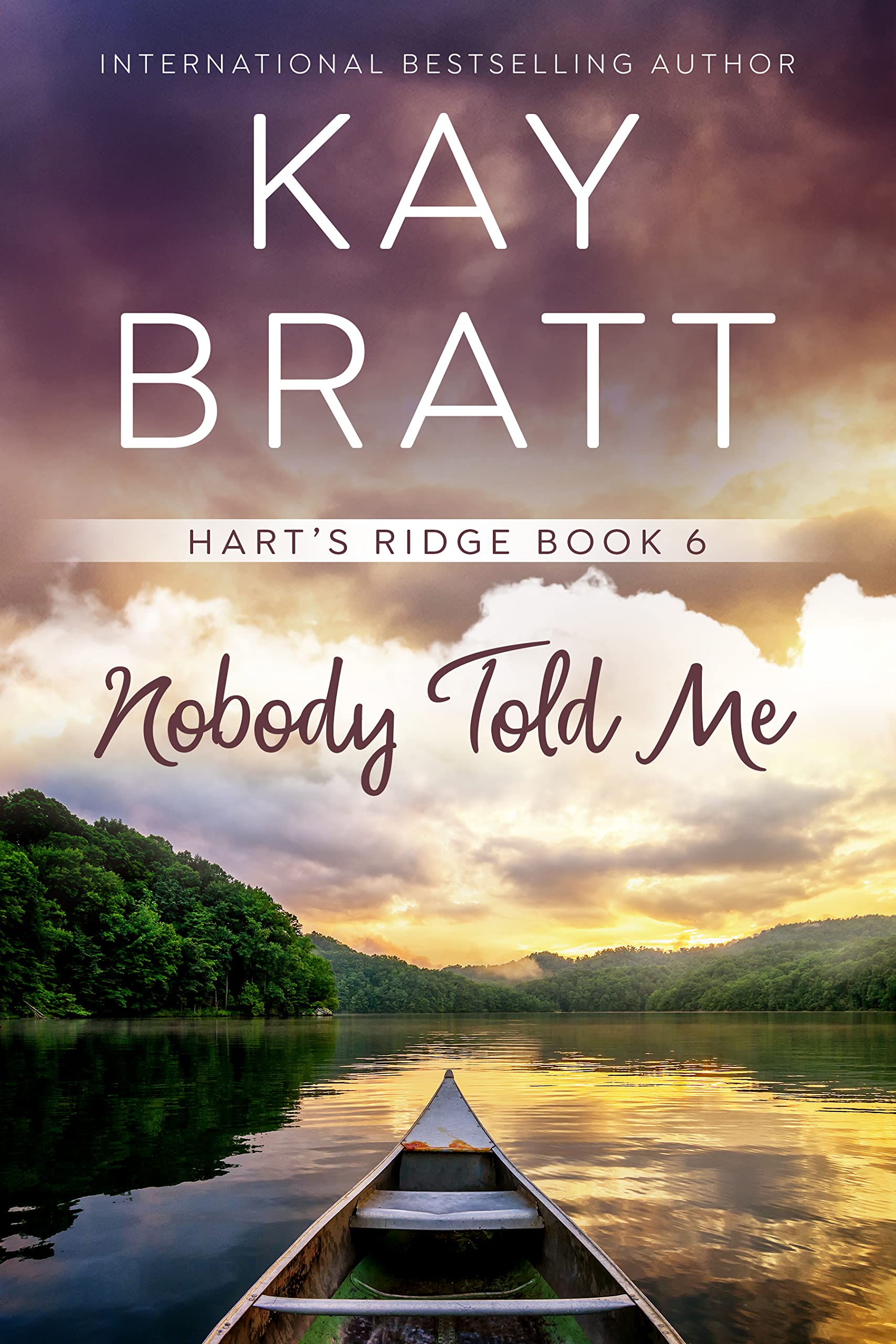 Nobody Told Me book cover