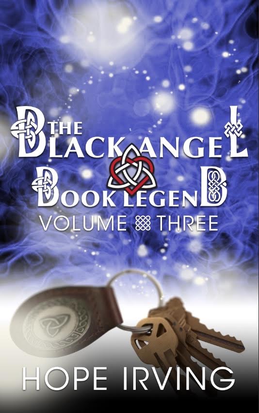 The Perry Witches' Legacy book cover 2