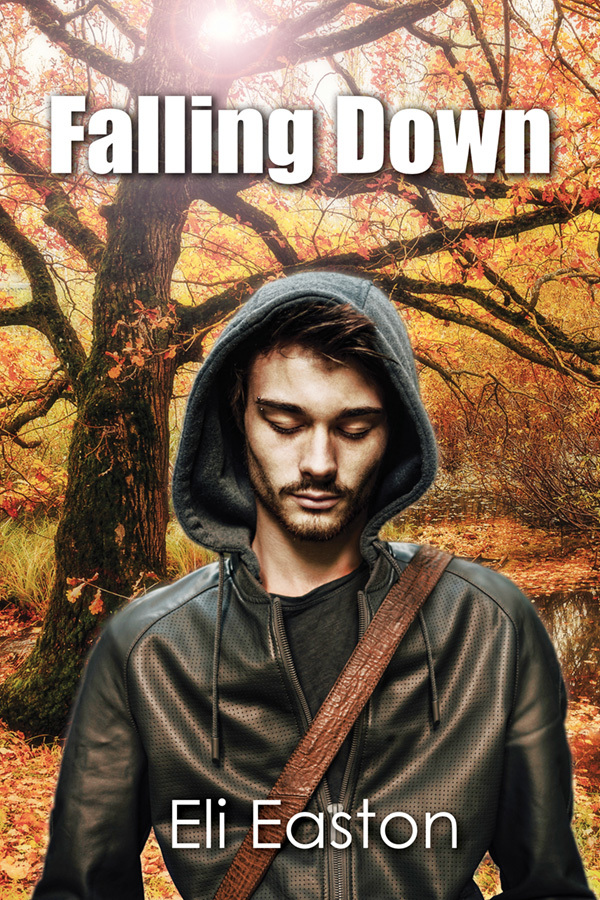 Falling Down book cover