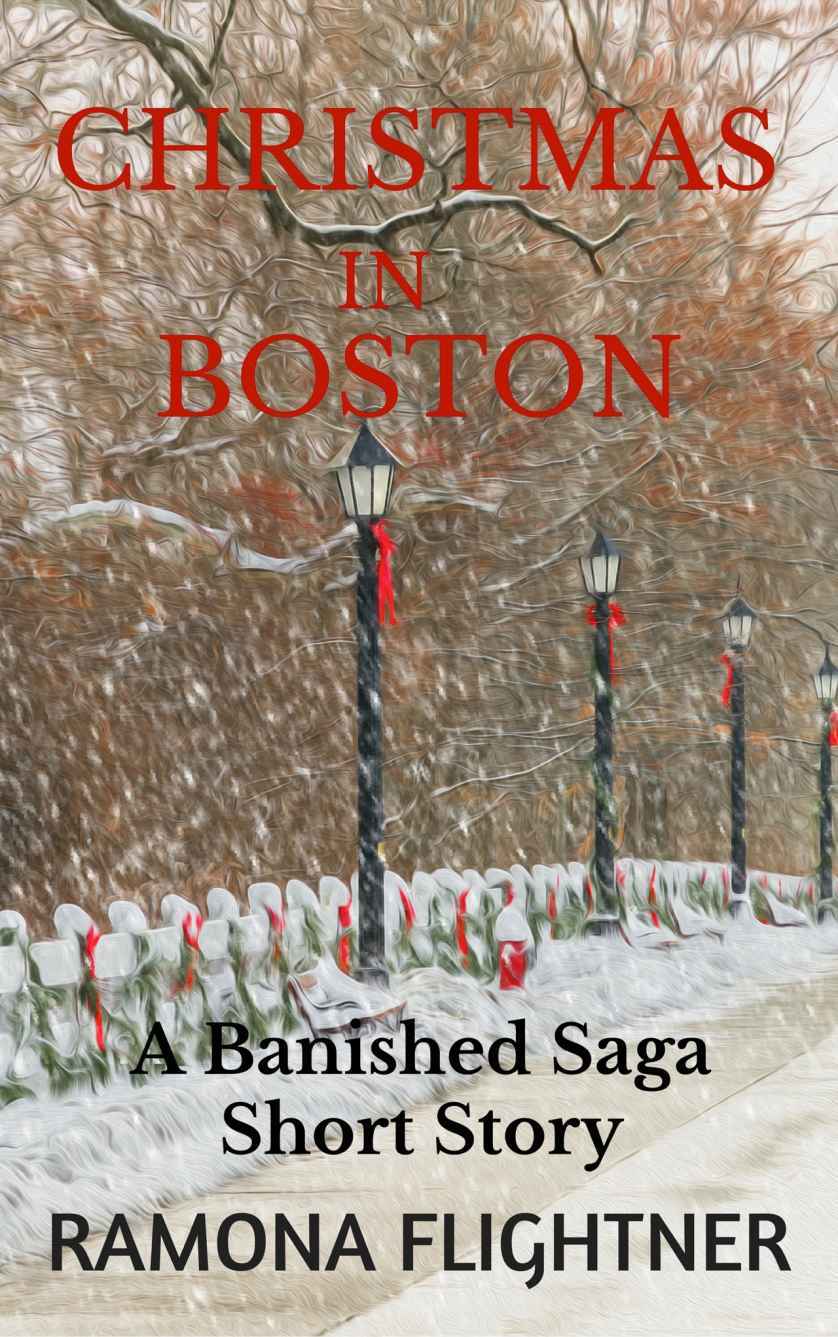 Christmas in Boston book cover