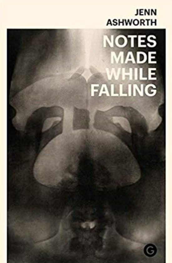 Notes Made while Falling book cover