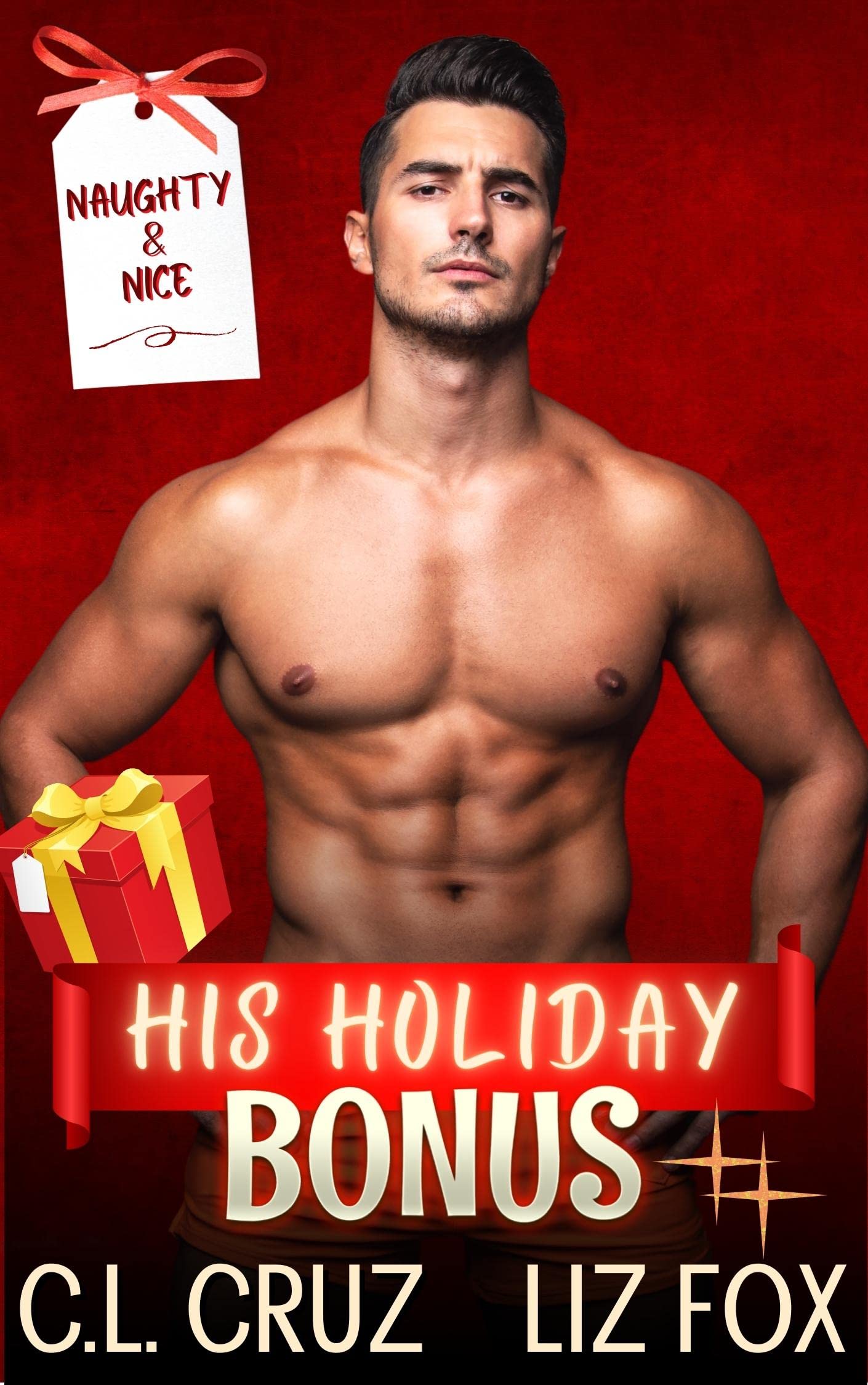 His Holiday Bonus book cover