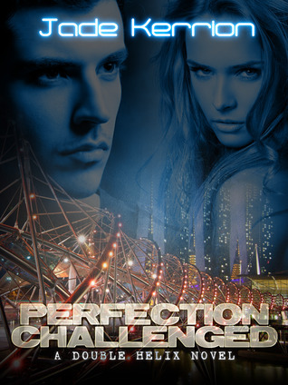 Perfection Challenged book cover