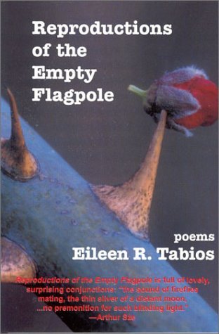 Reproductions of the Empty Flagpole book cover