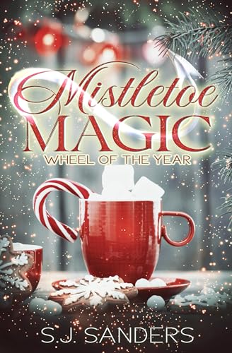 Shadowed Dreams book cover 2