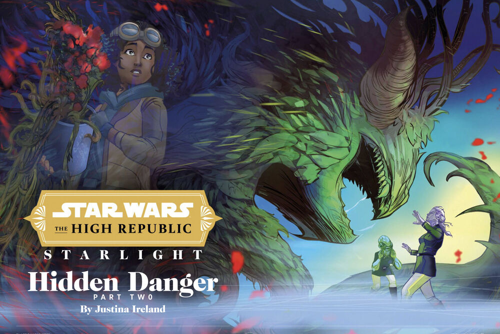 Hidden Danger, Part Two book cover