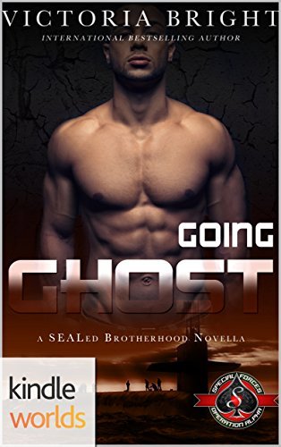 SEALed Brotherhood book cover 2