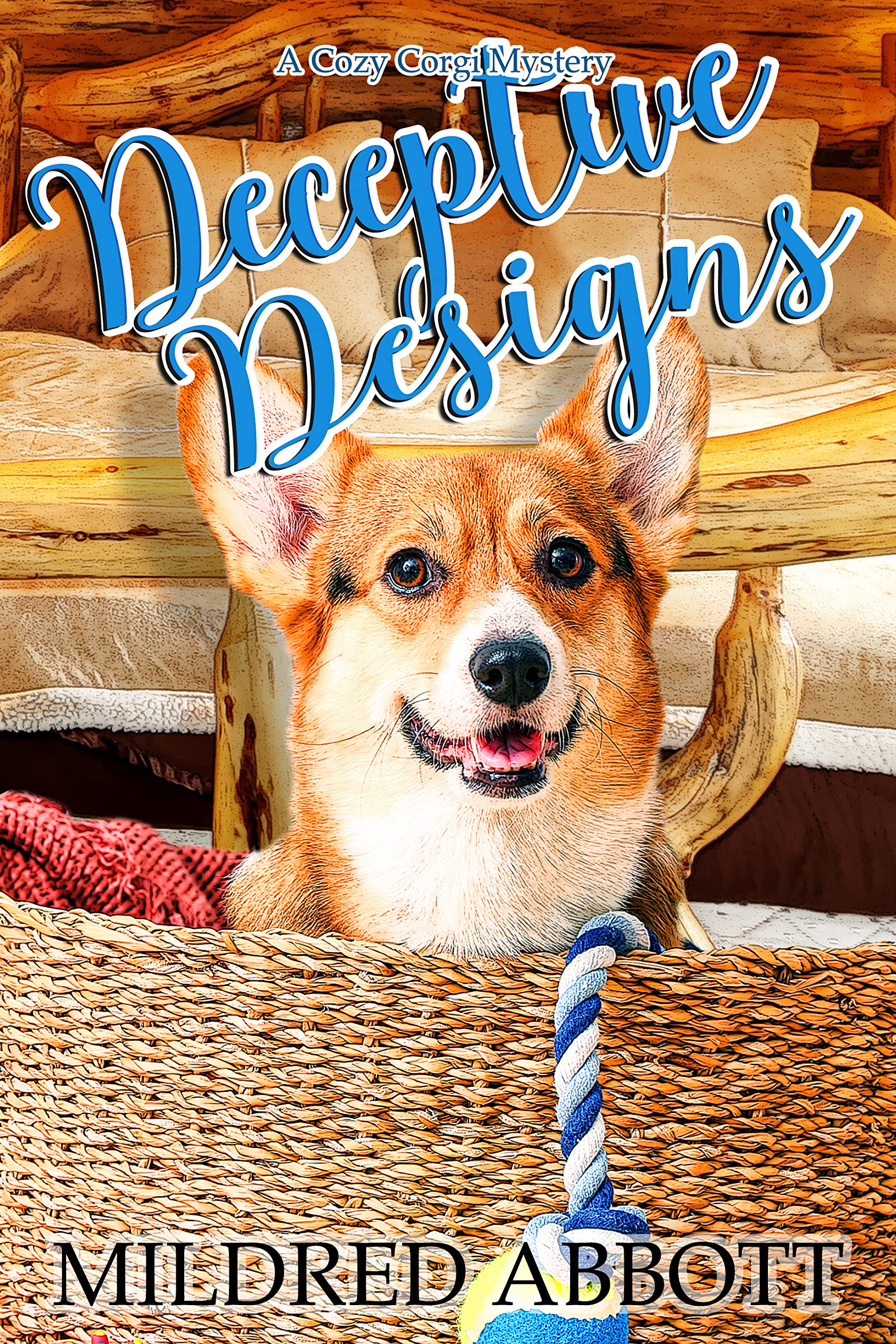 Deceptive Designs book cover