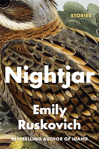 Nightjar book cover