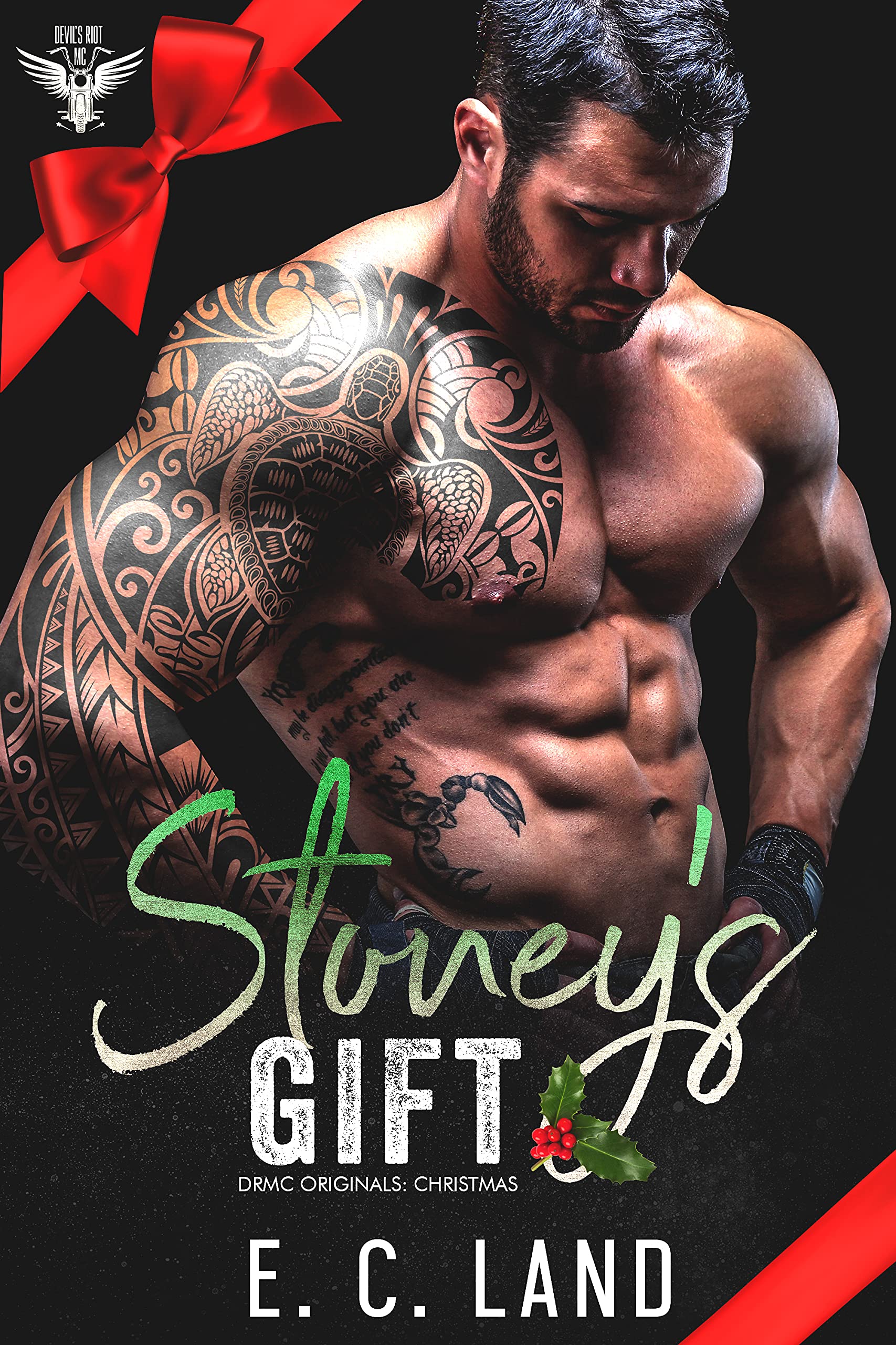 Stoney's Gift book cover