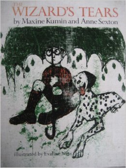 The wizard's tears book cover