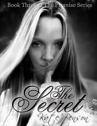 The Promise book cover 3