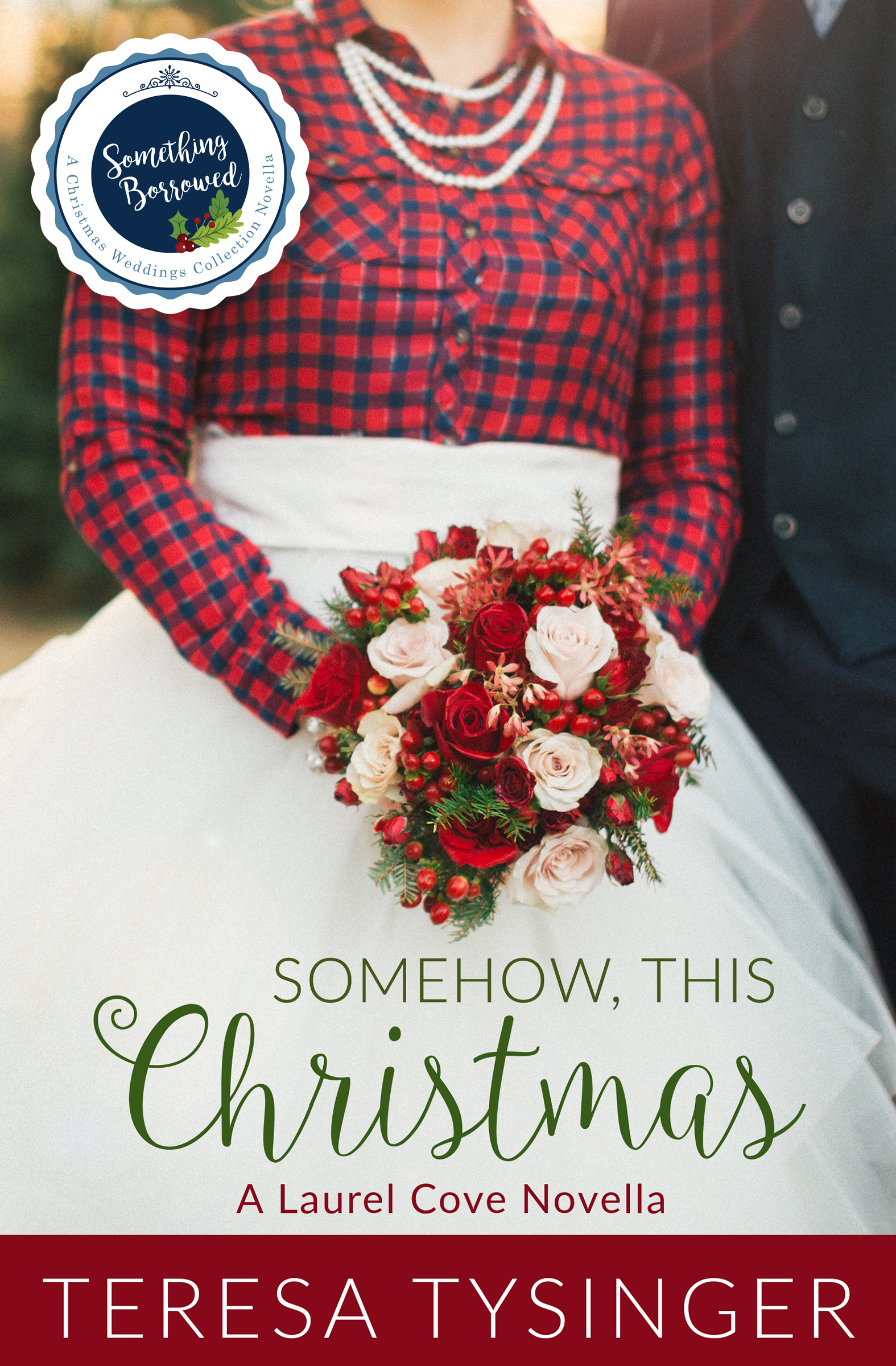 Something Borrowed Collection book cover 3