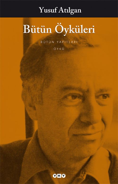 Bütün Öyküleri book cover