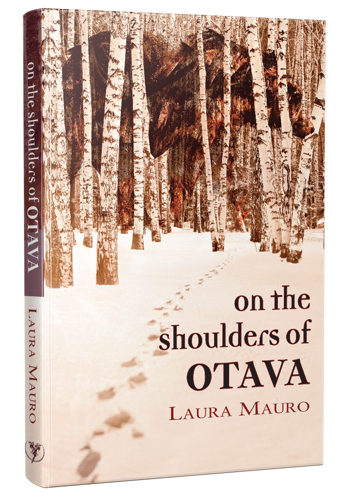 On the shoulders of OTAVA book cover