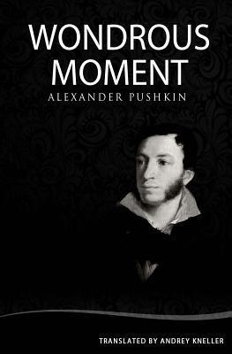 Wondrous Moment book cover