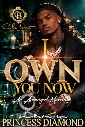 I Own You Now book cover