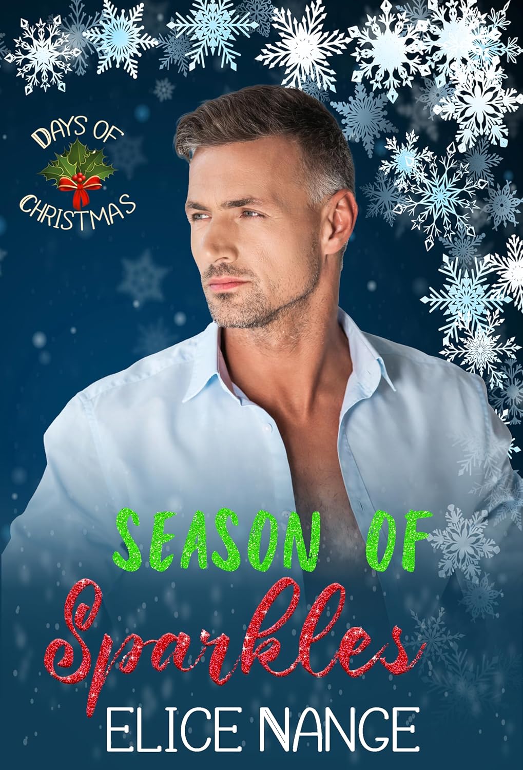 Season Of Sparkles book cover