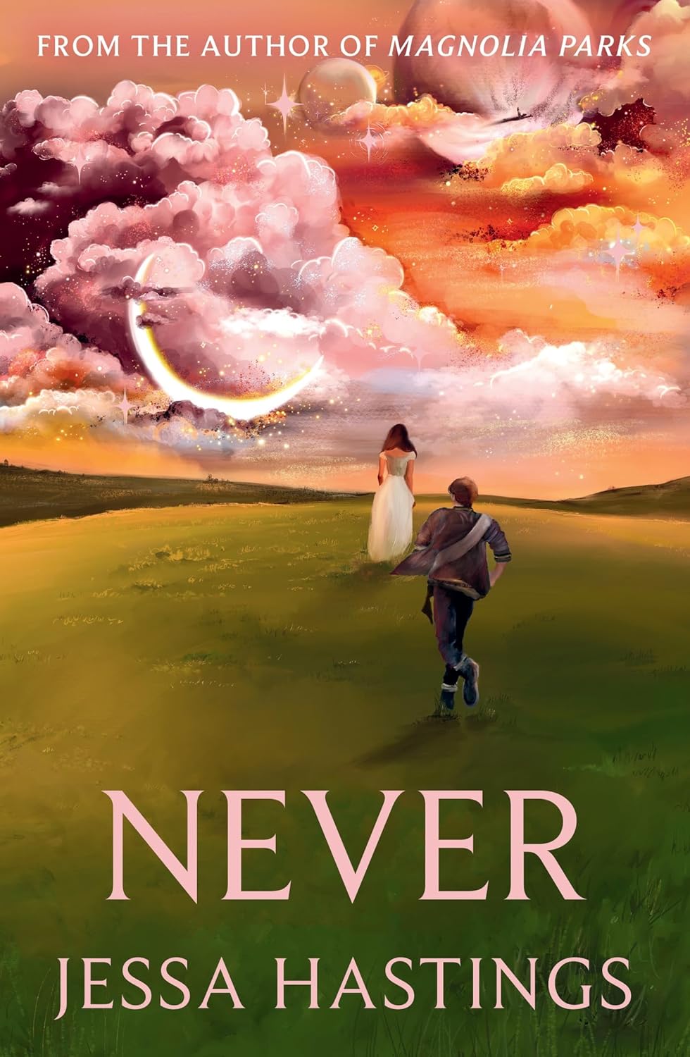 Never book cover
