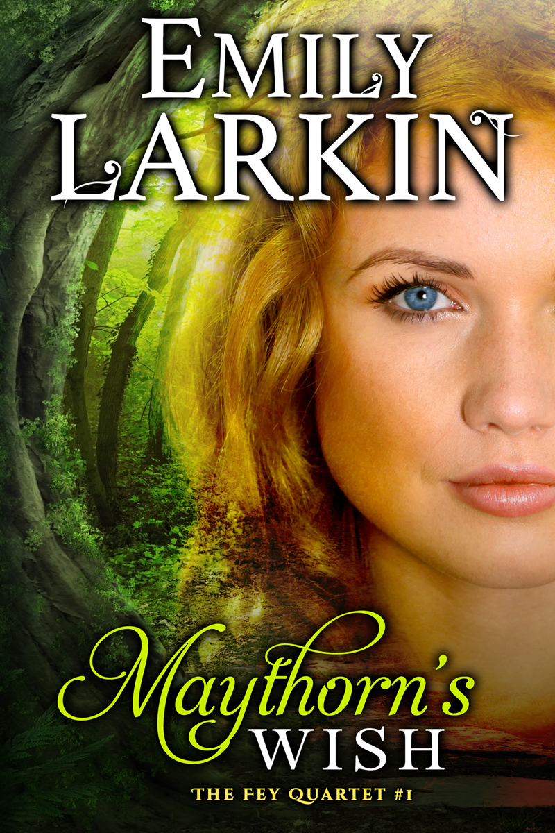 Fey Quartet book cover 1