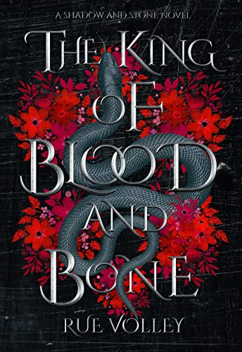 Shadow and Stone book cover 2