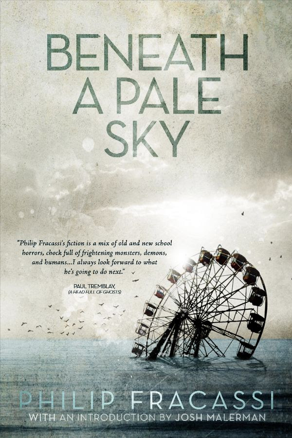 Beneath a Pale Sky book cover