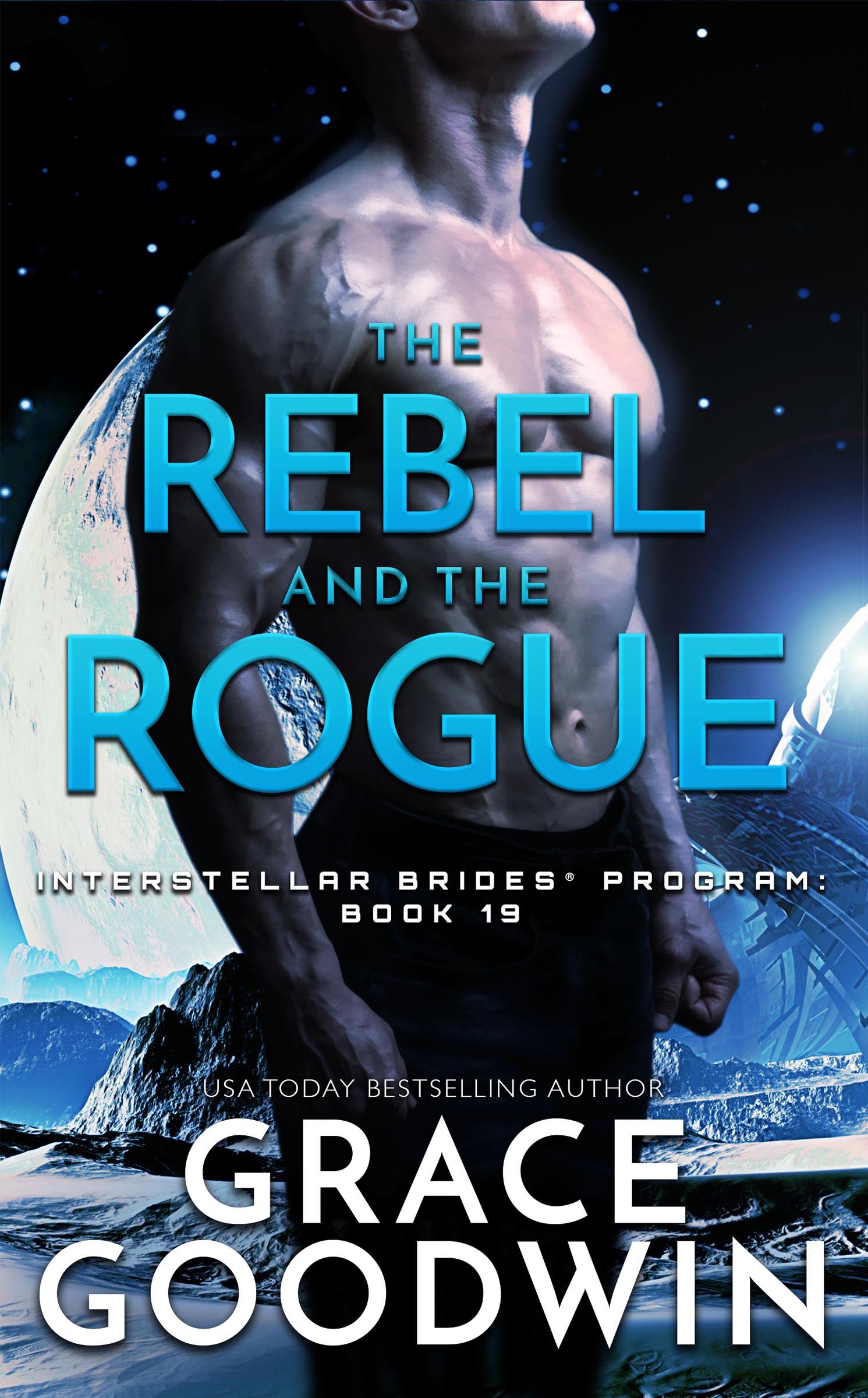 The Rebel and the Rogue book cover