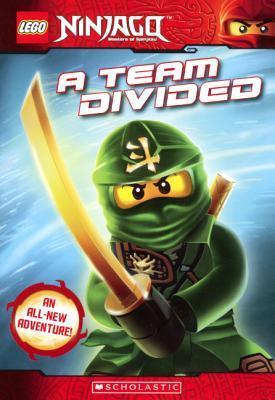 A Team Divided book cover