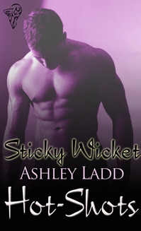 Sticky Wicket book cover