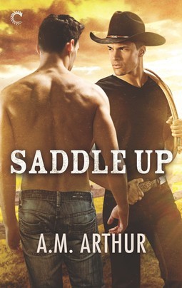 Clean Slate Ranch book cover 3