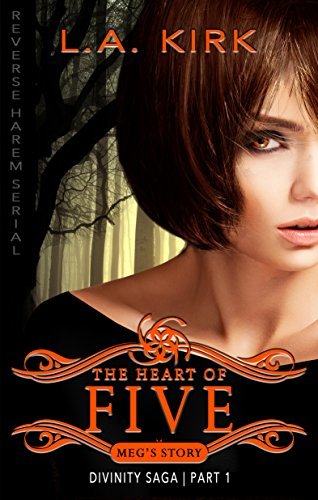 Divinity Saga book cover 1
