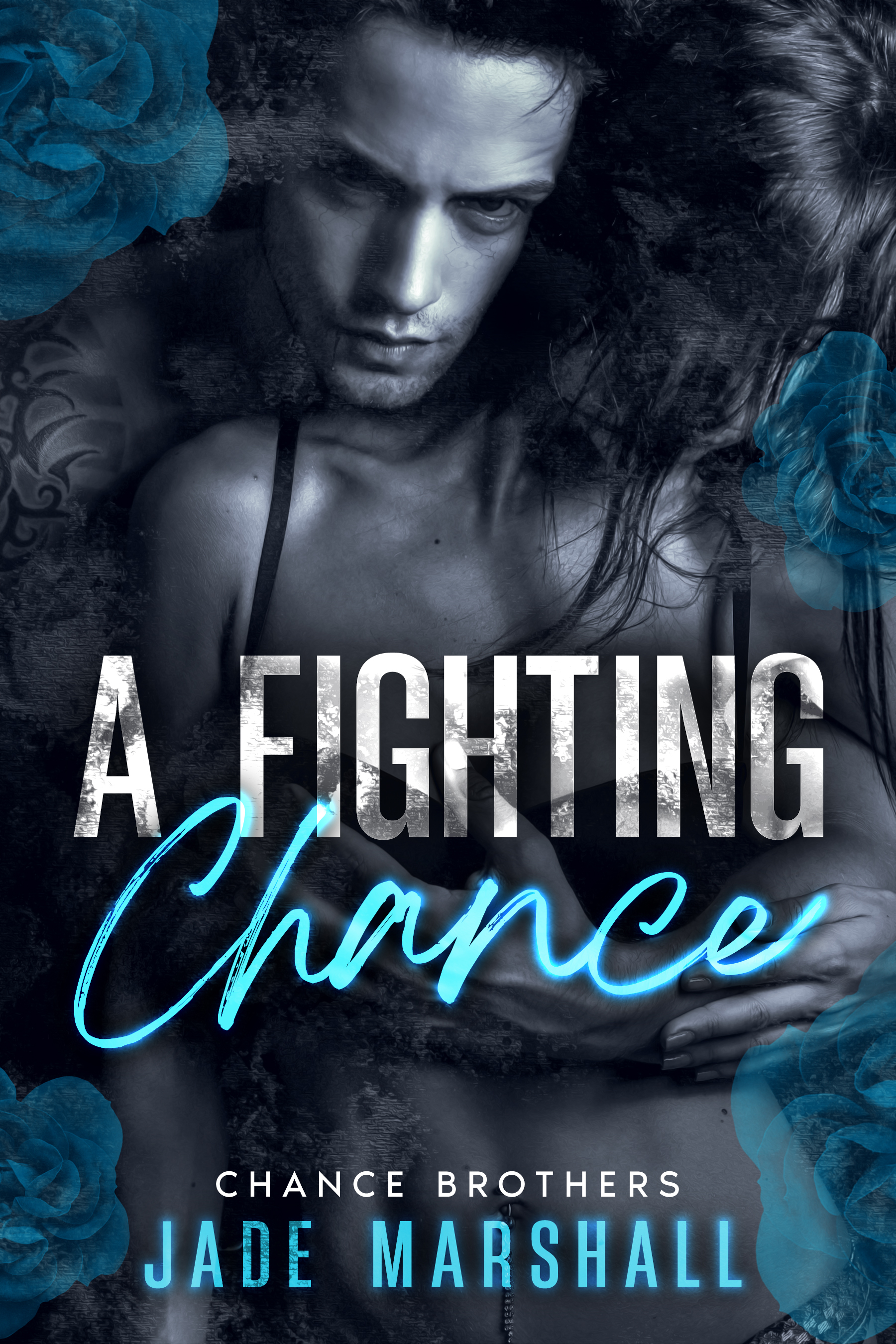 The Chance Brothers book cover 1