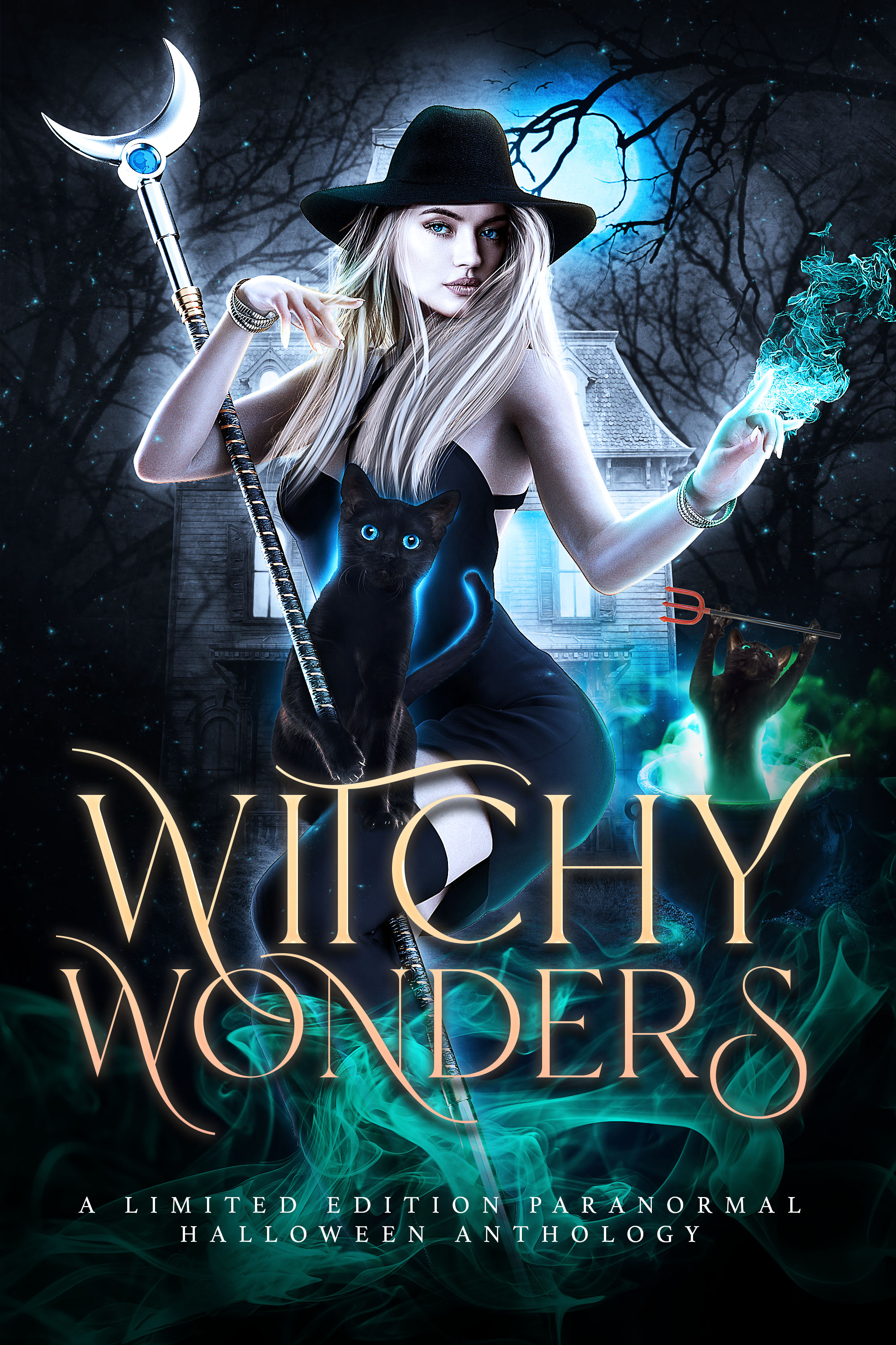 Witchy Wonders book cover