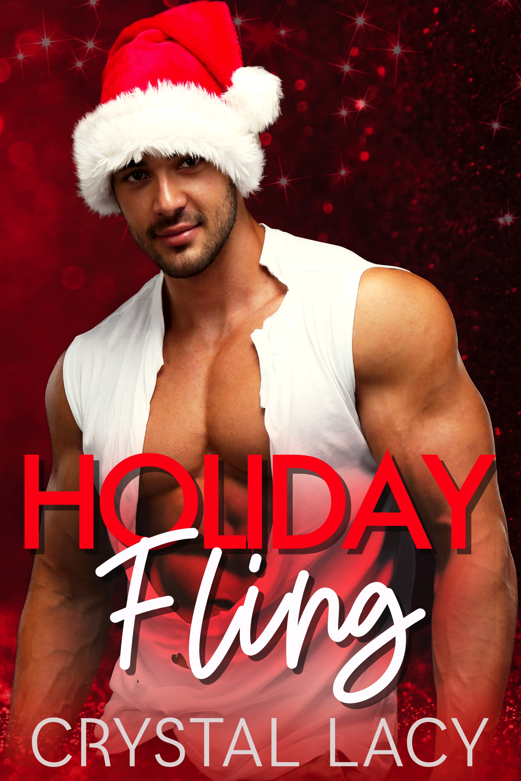 Holiday Fling book cover