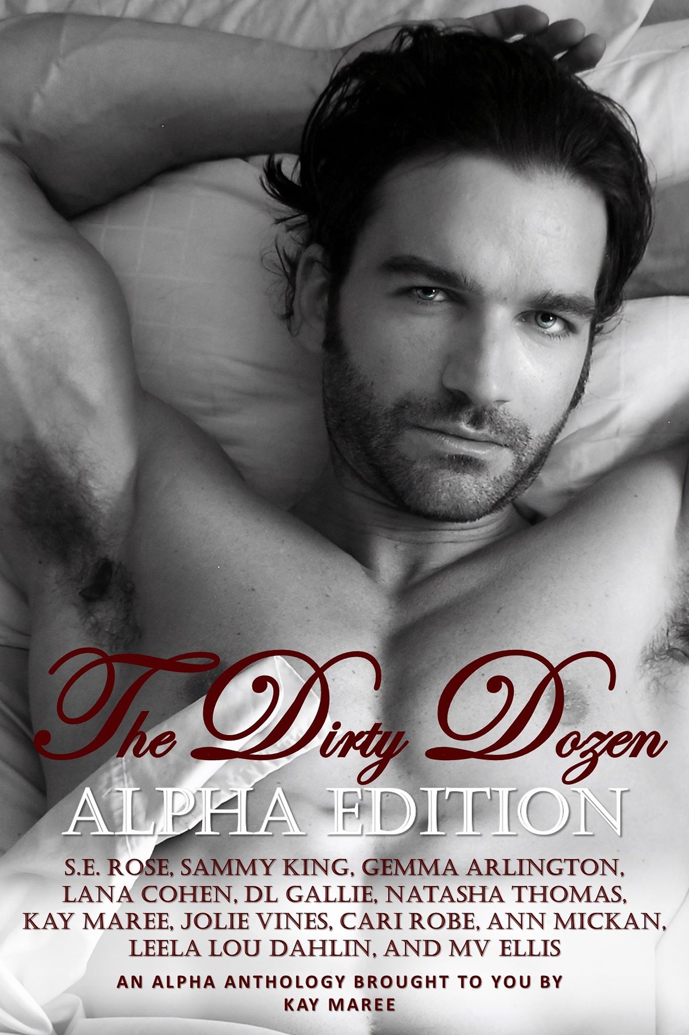 The Dirty Dozen book cover
