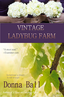 Vintage Ladybug Farm book cover
