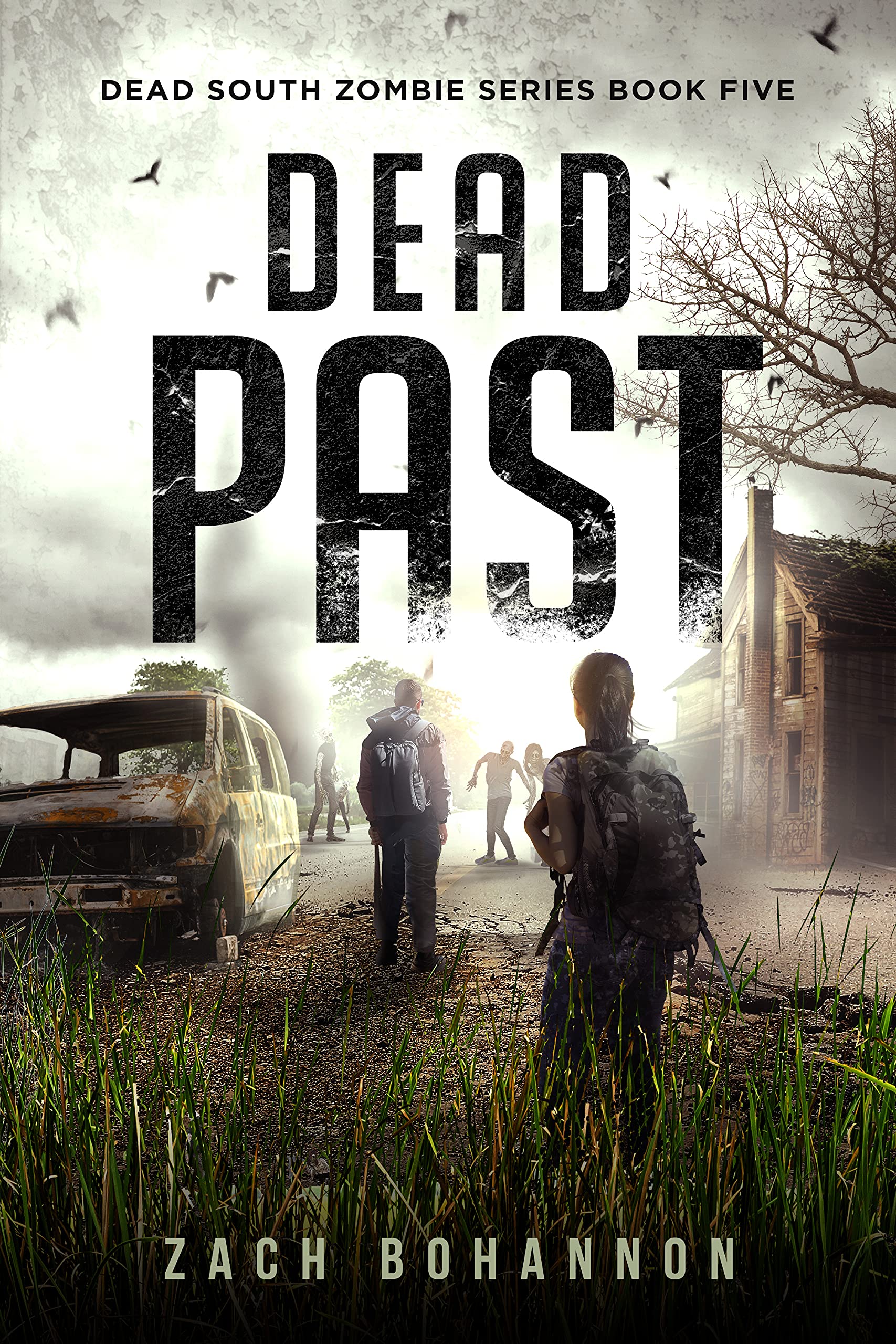 Dead Past book cover