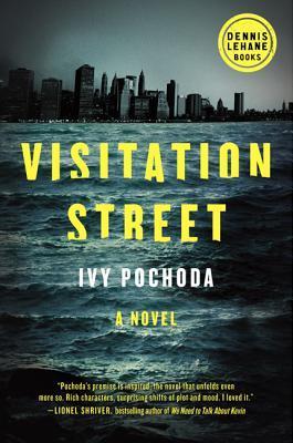 Visitation Street book cover