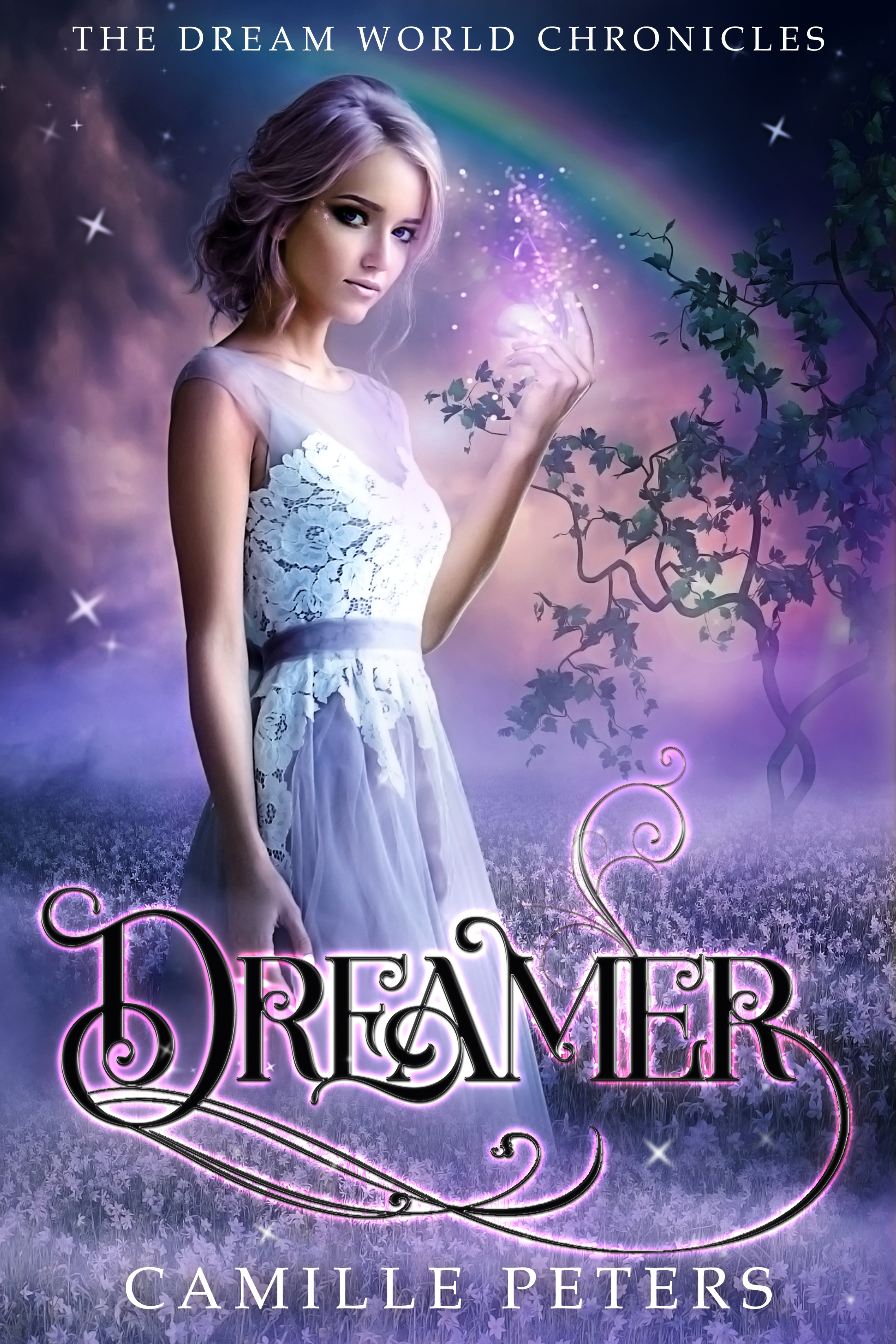 The Dream World Chronicles book cover 1