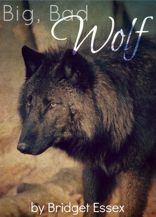Big, Bad Wolf book cover