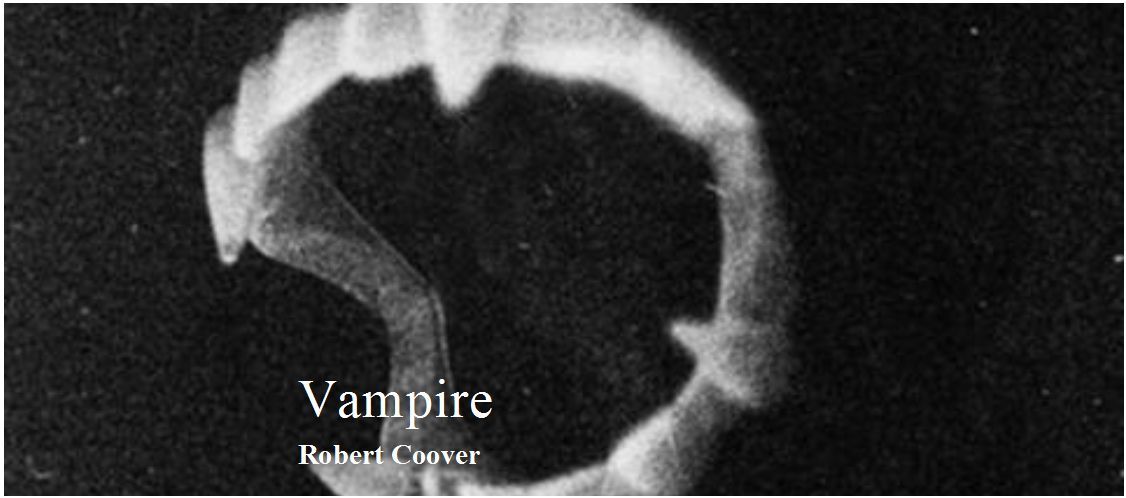 Vampire book cover