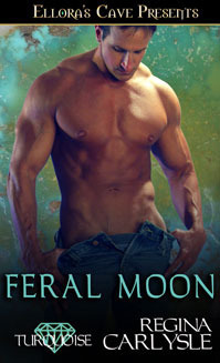 Savage Sanctuary book cover 1