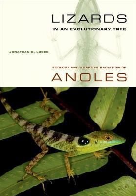 Lizards in an Evolutionary Tree book cover